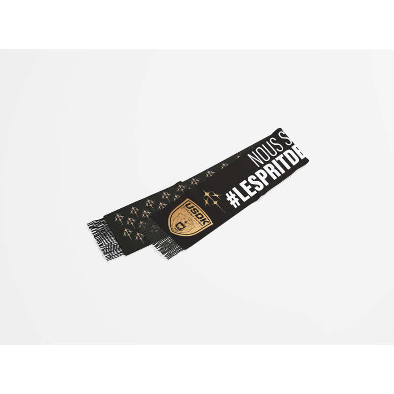 Echarpe Domicile 25/26